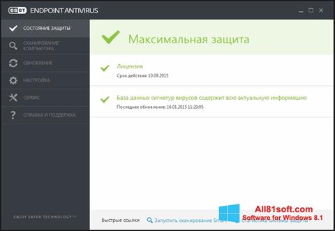 Screenshot ESET Endpoint Antivirus für Windows 8.1