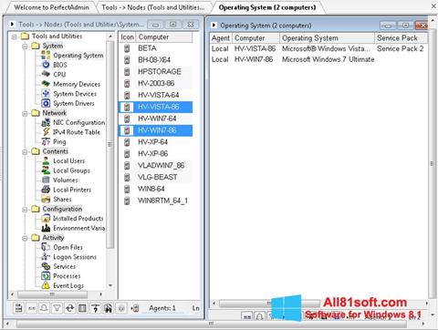 Screenshot Remote Administration Tool für Windows 8.1