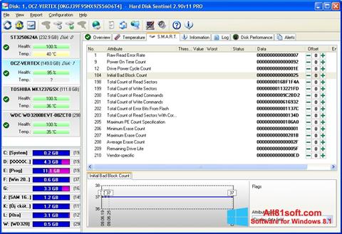 Screenshot Hard Disk Sentinel für Windows 8.1