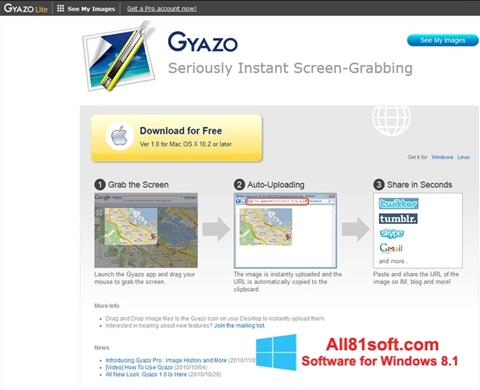 Screenshot Gyazo für Windows 8.1