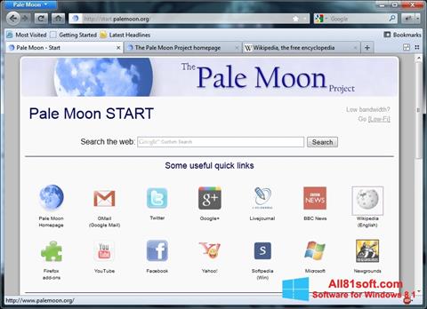 Screenshot Pale Moon für Windows 8.1