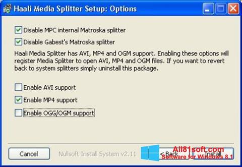 Screenshot Haali Media Splitter für Windows 8.1