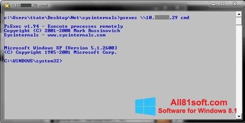 Screenshot PsExec für Windows 8.1