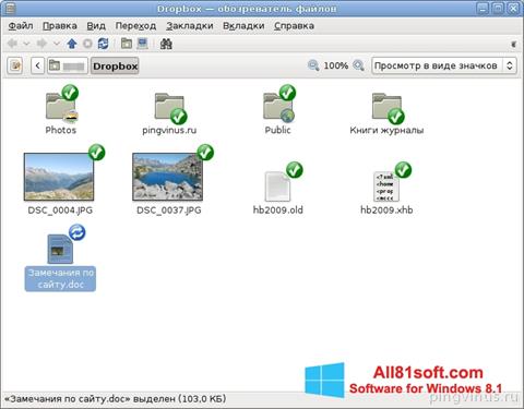 Screenshot Dropbox für Windows 8.1