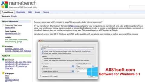 Screenshot NameBench für Windows 8.1