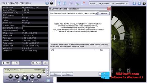 Screenshot FLV Player für Windows 8.1