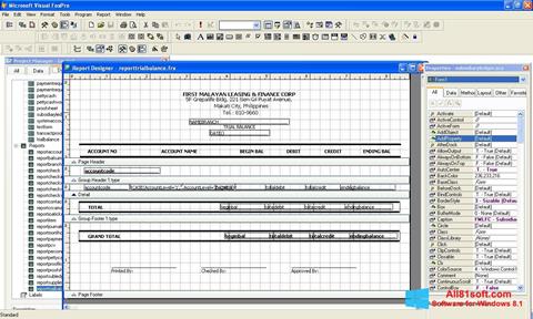 Screenshot Microsoft Visual FoxPro für Windows 8.1