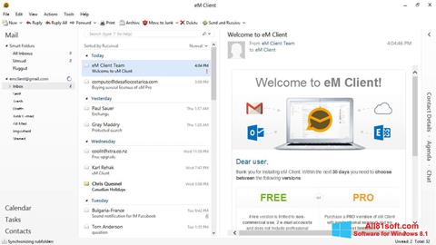 Screenshot eM Client für Windows 8.1