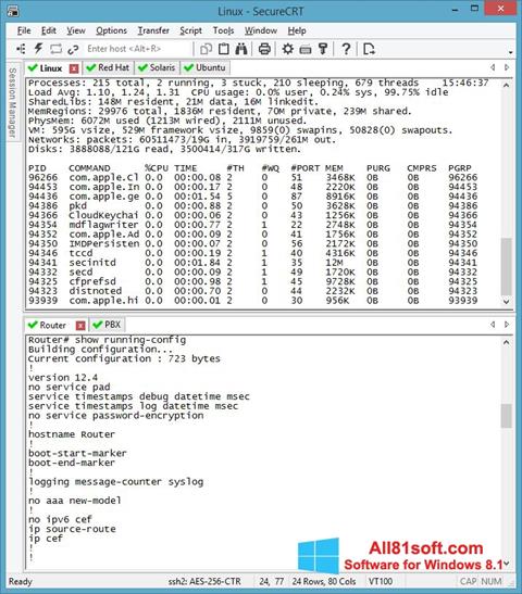 Screenshot SecureCRT für Windows 8.1