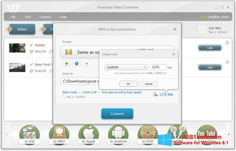 Screenshot Freemake Video Converter für Windows 8.1