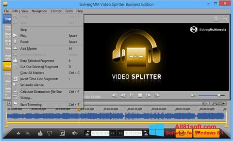 Screenshot SolveigMM Video Splitter für Windows 8.1