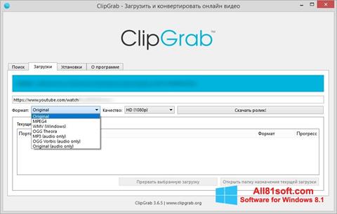 Screenshot ClipGrab für Windows 8.1