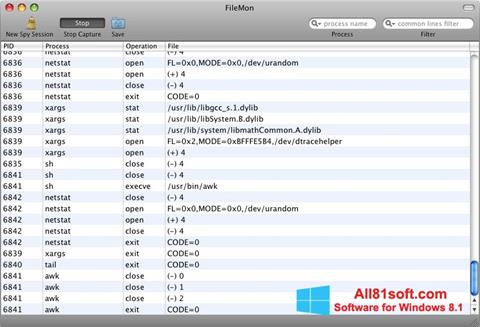 Screenshot FileMon für Windows 8.1