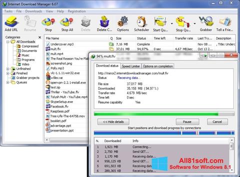 Screenshot Internet Download Manager für Windows 8.1