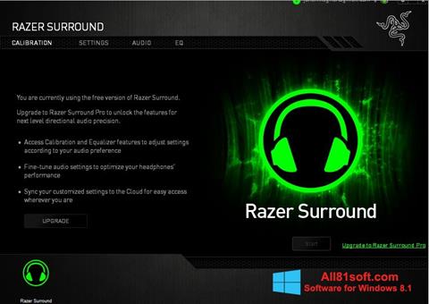 Screenshot Razer Surround für Windows 8.1