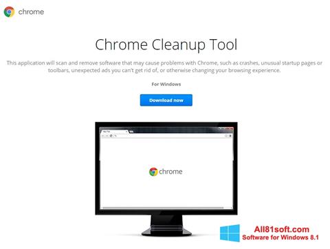 Screenshot Chrome Cleanup Tool für Windows 8.1