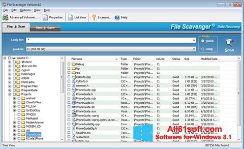 Screenshot File Scavenger für Windows 8.1