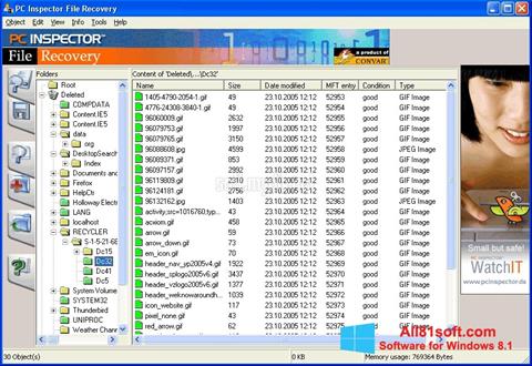 Screenshot PC Inspector File Recovery für Windows 8.1