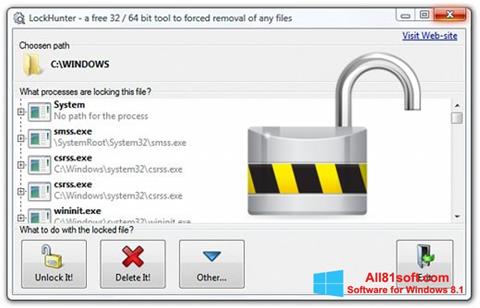 Screenshot LockHunter für Windows 8.1