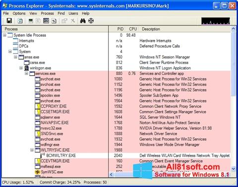 Screenshot Process Explorer für Windows 8.1