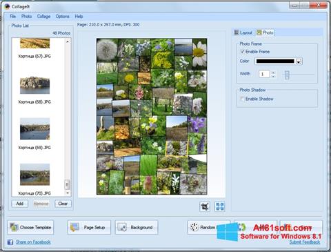 Screenshot CollageIt für Windows 8.1