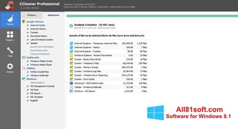 Screenshot CCleaner Professional Plus für Windows 8.1