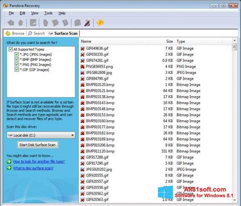 Screenshot Pandora Recovery für Windows 8.1