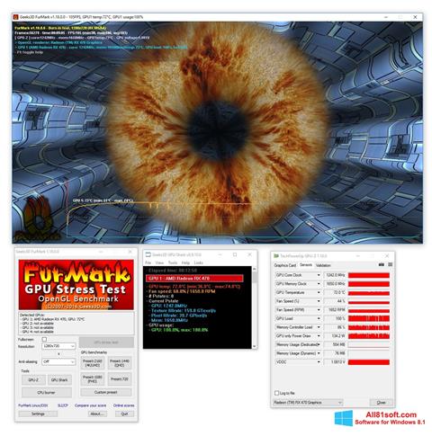 Screenshot FurMark für Windows 8.1