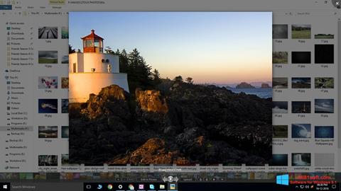 Screenshot Picasa Photo Viewer für Windows 8.1