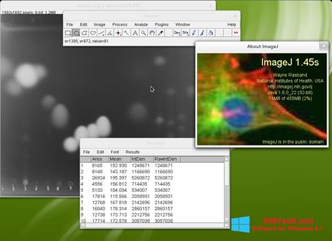 Screenshot ImageJ für Windows 8.1