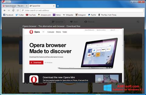 Screenshot Opera Developer für Windows 8.1