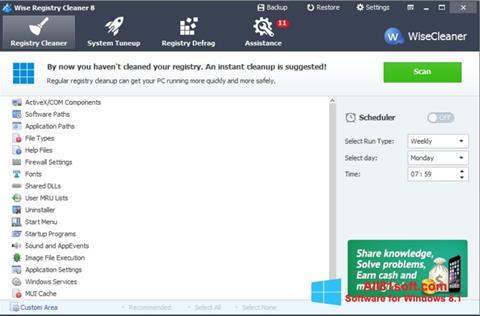 Screenshot Wise Registry Cleaner für Windows 8.1