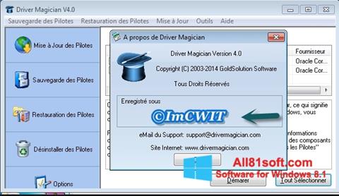 Screenshot Driver Magician für Windows 8.1
