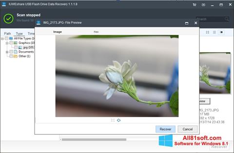 Screenshot USB Flash Drive Recovery für Windows 8.1
