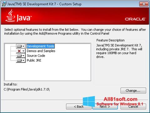 Screenshot Java Development Kit für Windows 8.1