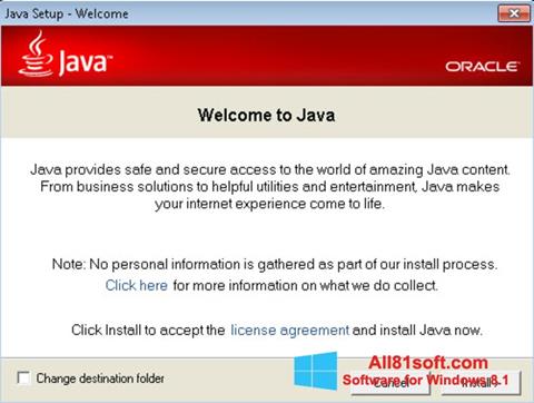 Screenshot Java Runtime Environment für Windows 8.1