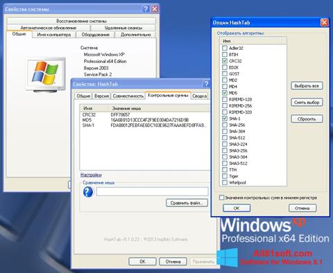 Screenshot HashTab für Windows 8.1